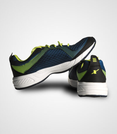 sports shoe3